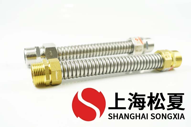 泵用金屬軟管安裝在壓載水處理系統